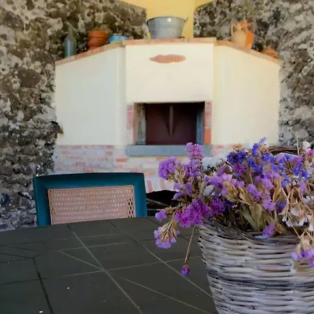 La Rosa *