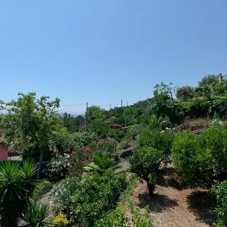 La Rosa
